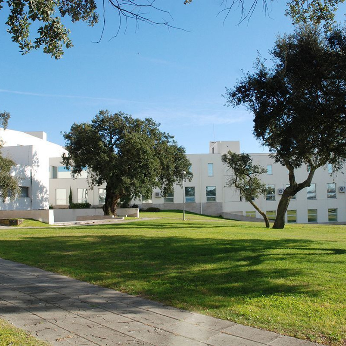 Photo of Polytechnic Institute of Setúbal
