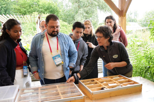 Participants of the Bootcamp at the "Garten Tulln", listening to a workshop instructor.